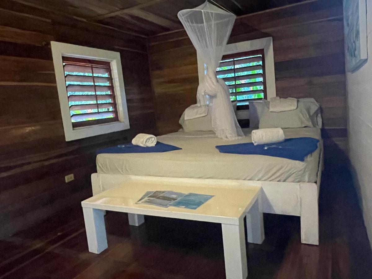 Dolphin Blue Paradise Бокас Екстер'єр фото