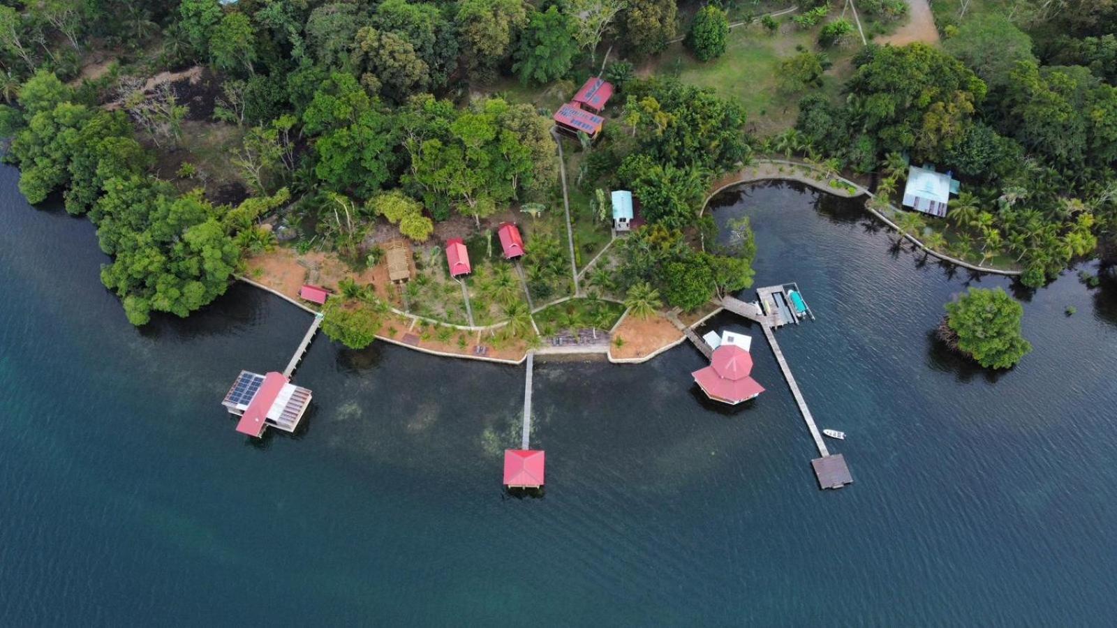 Dolphin Blue Paradise Бокас Екстер'єр фото