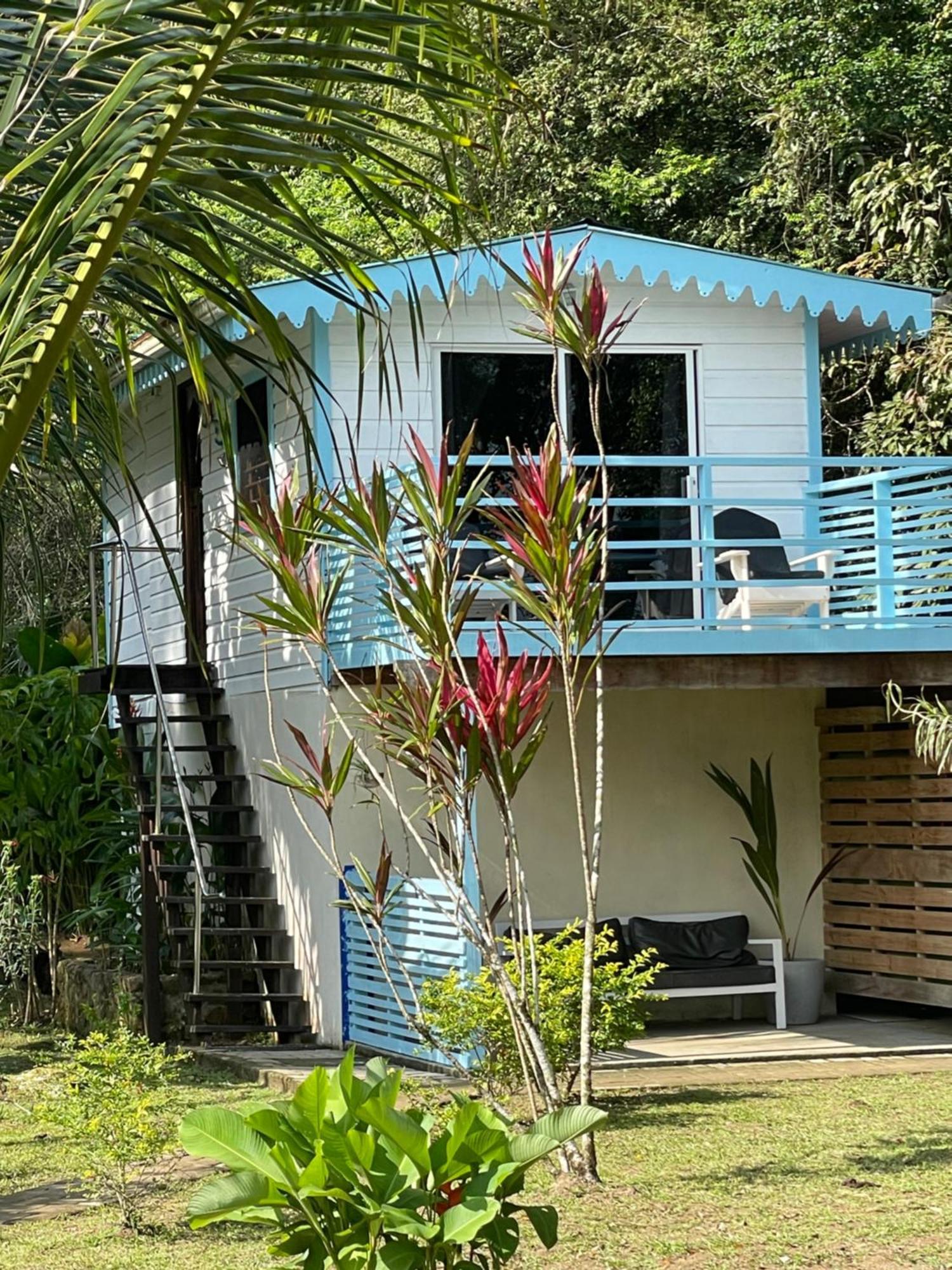 Dolphin Blue Paradise Бокас Екстер'єр фото