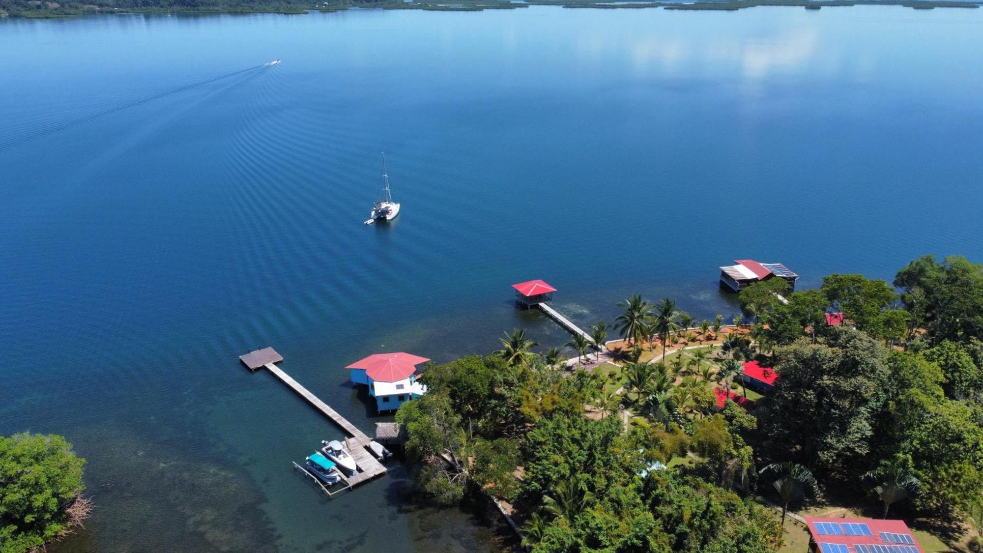 Dolphin Blue Paradise Бокас Екстер'єр фото